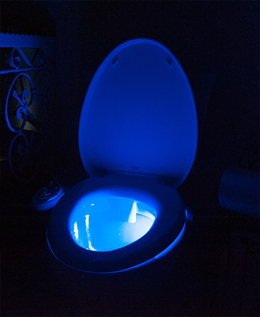 Naomi's Inn - Lighted Toilets Lit